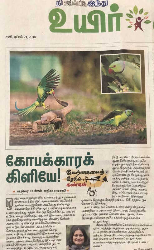My weekend Column The Hindu-Tamil daily