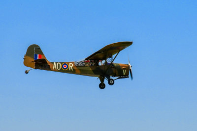 Auster V