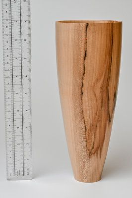 Hollow Form in Sycamore