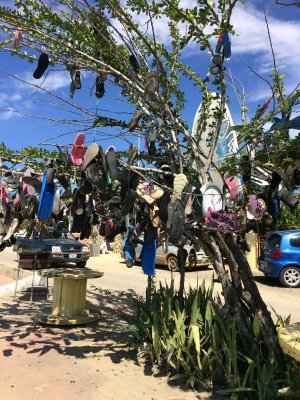 Tree decorated with flip-flops. / 2017_01_28_Bonaire_iPhone _119.jpg