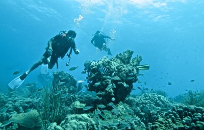 Elliott inspecting the coral heads / 2017_01_30_BonaireTom _012 - Version 2.jpg