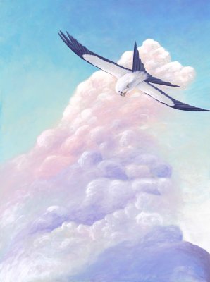 g10/87/887087/3/167088254.Hd5ZRkm9.jpg