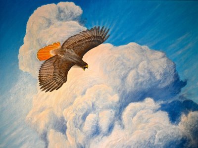 The Cloud, Red-tailed Hawk
