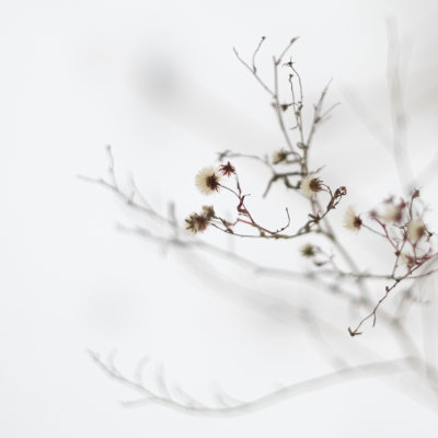 Vestiges