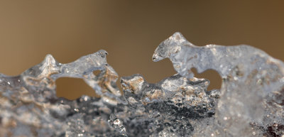  Ce n'est que de la Glace 