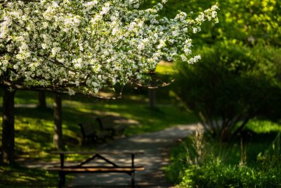 Doux Printemps