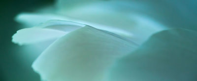 g10/87/963387/3/167011260.rXNjkUvB.jpg