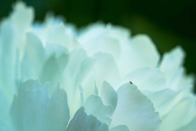g10/87/963387/3/167011265.DpZh4pn4.jpg