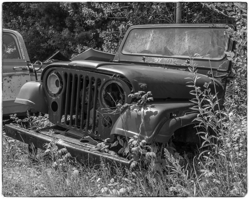 Jeep, A Sad Jeep