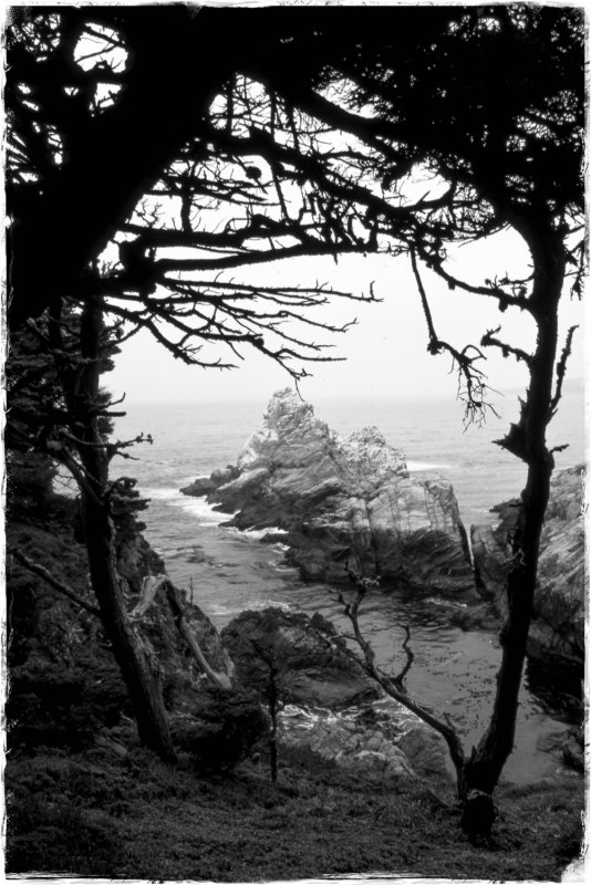 Point Lobos