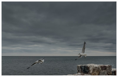 g10/88/312588/3/166522981.cGJKAPiz.jpg
