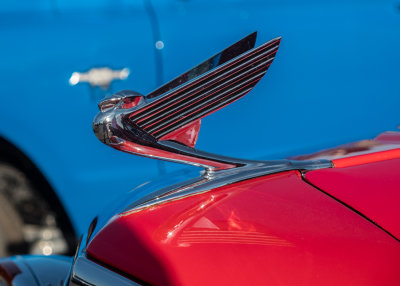 Chrome Plated Eagle