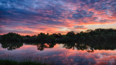 Sunday Sunrise 