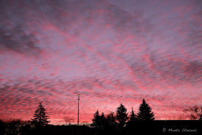 Sunrise on Campus at Colorado State Univeristy