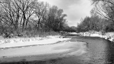 Winter Morning on the Poudre River 