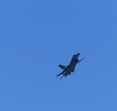 F16