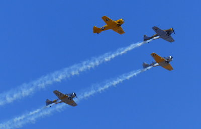 Harvards