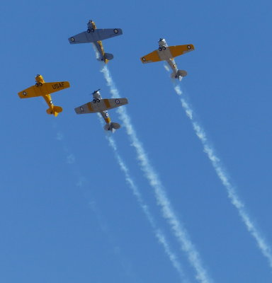 Harvards