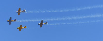Harvards