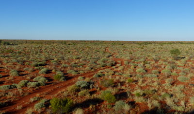 Madigan Line