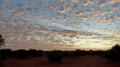 Sunset Camp 11