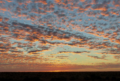 Sunset Camp 11