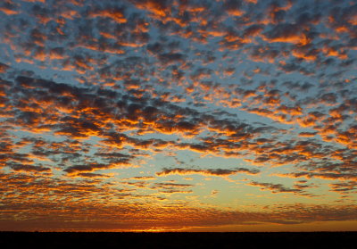 Sunset Camp 11