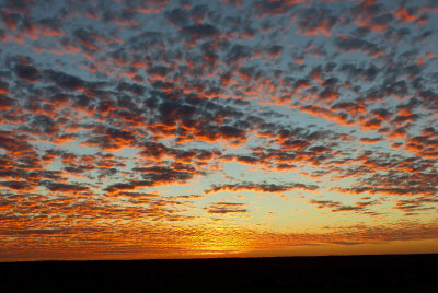 Sunset Camp 11