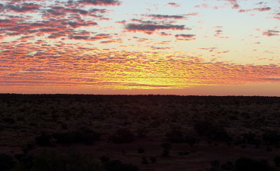 Sunset Camp 11
