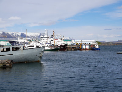 Reykjavik Harbor