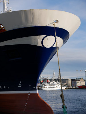 Reykjavik Harbor