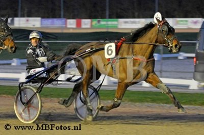 Koers 5. Tuxedo Bi.jpg
