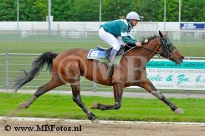 Koers 2. Bizzy Tolli T1.jpg