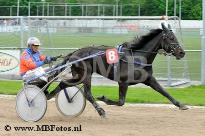 Koers 3. Guy Pomponne1.jpg