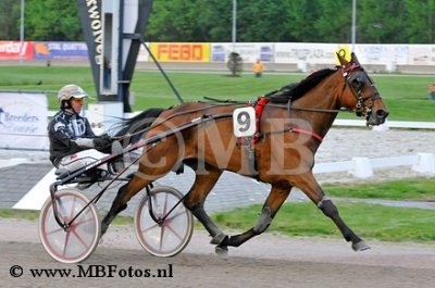 Koers 5. Tuxedo Bi.jpg