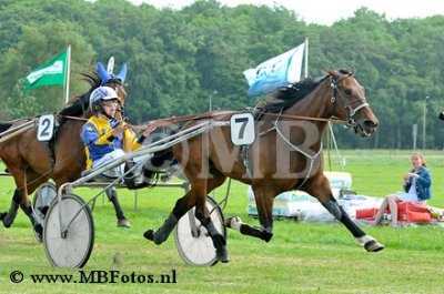 Koers 5. Dexter1.jpg