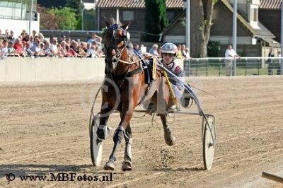 Koers 11. Giant Shadow.jpg