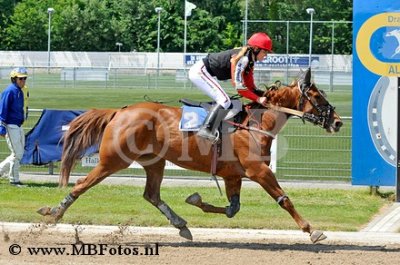 Koers 2. Elma Alki1.jpg