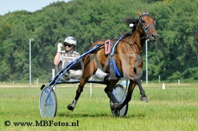 Koers 10. Brazil Elegance1.jpg