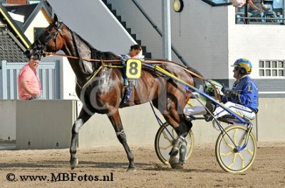 Koers 1. Giant Shadow3.jpg
