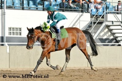 Koers 2. Bizzy Tolli T4.jpg