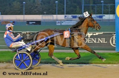 Koers 3. Henley1.jpg