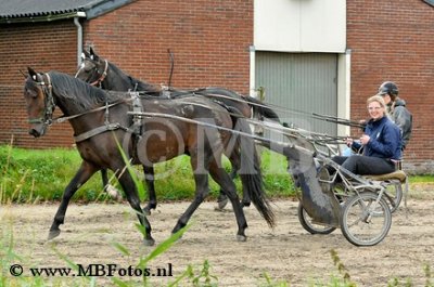 _MBF0096.jpg