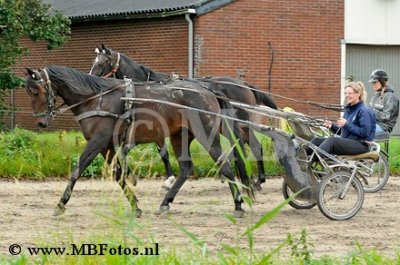 _MBF0098.jpg