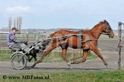 _MBF7605.jpg