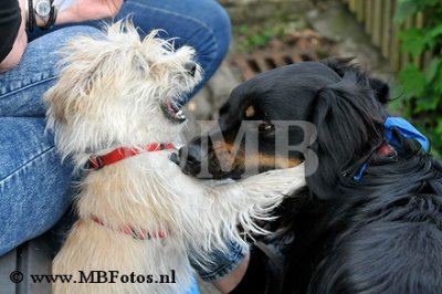 _MBF0792.jpg