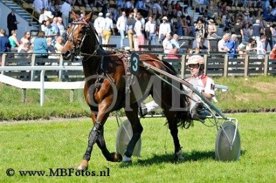 Koers 6. Golden Avenue2.jpg