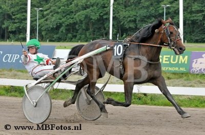Koers 6. Tiger Danover1.jpg