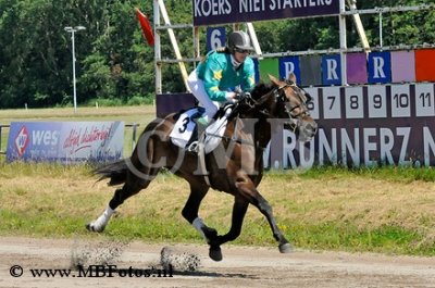 Koers 6. Secret Honey1.jpg