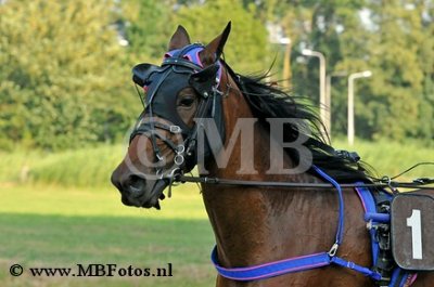 _MBF4097.jpg